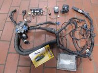 Steuerger�t Gasanlage Satz<br>CITROEN C2 (JM_) 1,6