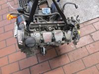 Motor ohne Anbauteile (Benzin) ANV<br>VW LUPO (6X1, 6E1) 1.0