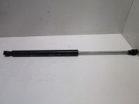 Gasdruckfeder hinten <br>RENAULT TWINGO (C06_) 1.2