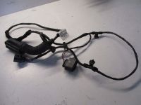 Kabelbaum T�r Links Hinten<br>SEAT IBIZA V (6J5) 1.2