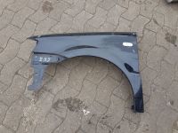 Kotfl�gel links muss lackiert werden   verschiedene Farben<br>VW POLO (6N2) 1