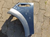 Kotfl�gel links muss lackiert werden<br>MINI MINI (R50, R53) COOPER