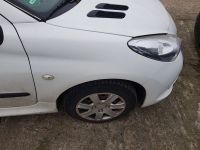 Kotfl�gel rechts Weiss Blancaise EWP<br>PEUGEOT 206 (T3E) 1.1